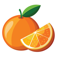orange and slice vector illustration 