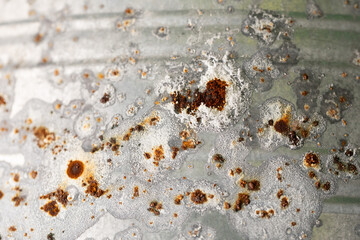 a section of an old, rusty iron plate

