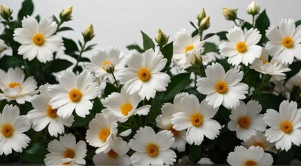 white background with a border of flowers and leaves,