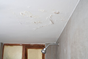 Damp buildings damaged by black mold and saltpeter
