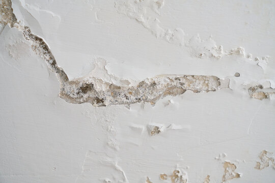 Moisture or saltpeter on the wall and ceiling.