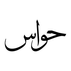 Hwas Muslim Boy Name Sulus Font Arabic Calligraphy