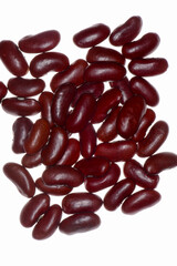 Kidneybohne,  Gartenbohne Phaseolus vulgaris