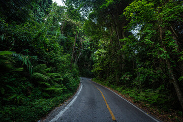 Obraz premium Asphalt rural road on mountain tropical forest