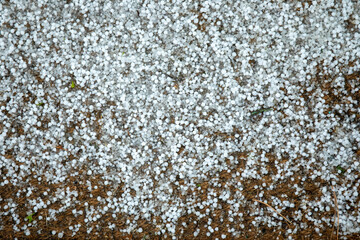 Small Hail on Door Mat: Winter Weather at Home