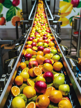 Fabrica de suco de frutas naturais