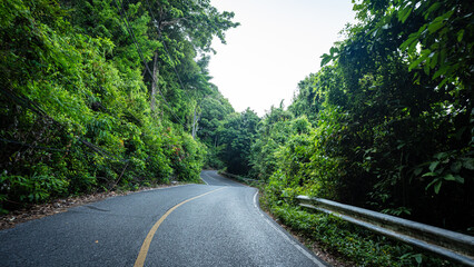 Asphalt rural road on mountain tropical forest