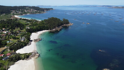 Turquoise waters meet lush coastal foliage in a serene beachscape
