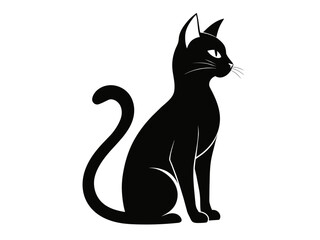 Fototapeta premium black cat