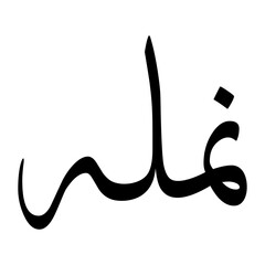 Niamullah Muslim Boy Name Sulus Font Arabic Calligraphy