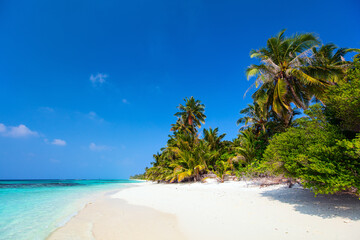 Beautiful tropical beach at Maldives - 803136441