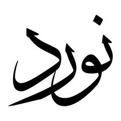 Noor Muslim Boy Name Sulus Font Arabic Calligraphy