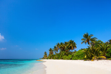 Beautiful tropical beach at Maldives - 803136498