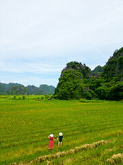 Couple enjoying vietnamese countryside - 803138237