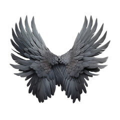 Obraz premium Beautiful Detailed Gray Bird Wings Spread on transpart