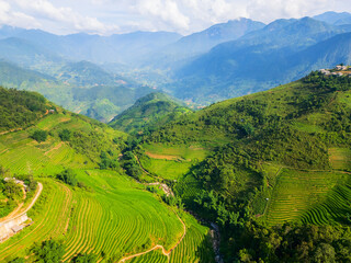 Rice terraces in northern Vietnam - 803138687