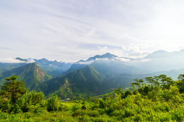 Rice terraces in northern Vietnam - 803138693