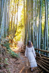 Woman in bamboo forest - 803139483