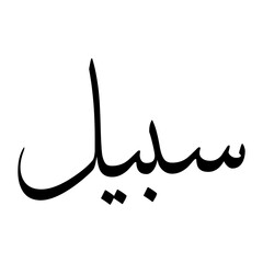 Sabeel Muslim Boy Name Sulus Font Arabic Calligraphy