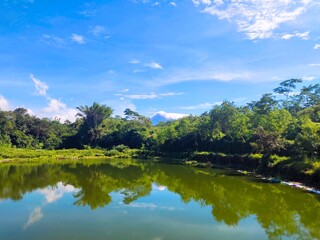 A beautiful scene of a pond full of water with a clean, fresh and green environment. Merapi mountain and bright blue sky in the background.