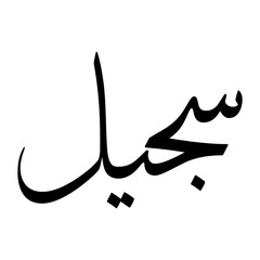 Sajeel Muslim Boy Name Sulus Font Arabic Calligraphy