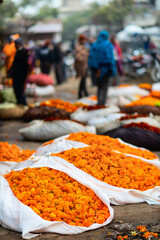 Marigold flower buds at market - 803141050