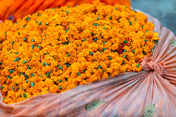 Marigold flower buds at market