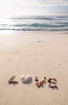 The word LOVE made of shells in the sand on the beach with blurred ocean waves in the background