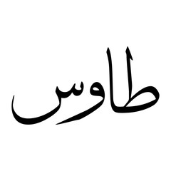 Fototapeta premium Tawas Muslim Boy Name Sulus Font Arabic Calligraphy