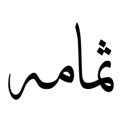 Thumama Muslim Boy Name Sulus Font Arabic Calligraphy