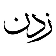 Zia Muslim Boy Name Sulus Font Arabic Calligraphy
