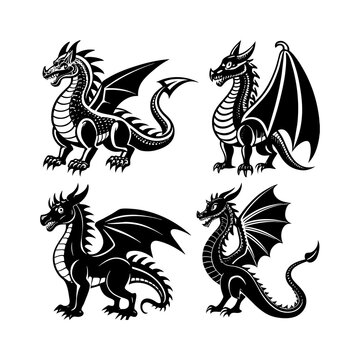 black and white dragons