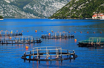 Pools for fish on an aqua farm in the open sea, Adriatic Sea, Bay of Kotor