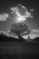 Naklejka premium The Capitol Building's neoclassical design symbolizes American democracy and political power. 