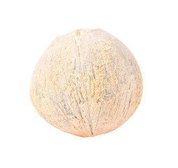 coconut on transparent png
