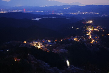Night View of Pink Sakura Cherry Blossom on Mt. Yoshino or Yoshino-yama in Nara, Japan's Most Famous Cherry Blossom - 日本 奈良 吉野山の桜 春の景色 夜景