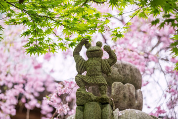 Frog statue with maple and pink sakura at Nyoirinji Temple, Ogori