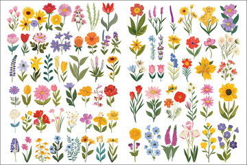 Spring flowers illustration colorful flower set, Vibrant Spring Florals Collection, Flower element design, Beautiful spring and summer flower
