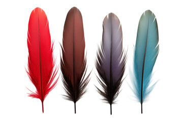 Groups of Birds Multicolor feathers PNG isolated on Transparent and white background - Birds Plumage Feather pattern