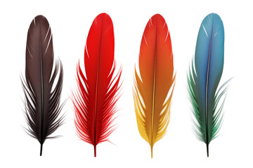 Groups of Birds Multicolor feathers PNG isolated on Transparent and white background - Birds Plumage Feather pattern