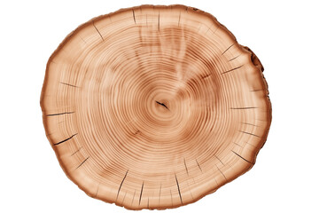Obraz premium Top view of a Circular Tree trunk PNG Wood rings isolated on Transparent and white background - Forest Wildlife Erosion Ecosystem Protection