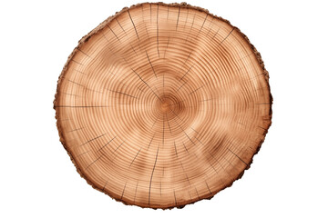 Fototapeta premium Top view of a Circular Tree trunk PNG Wood rings isolated on Transparent and white background - Forest Wildlife Erosion Ecosystem Protection