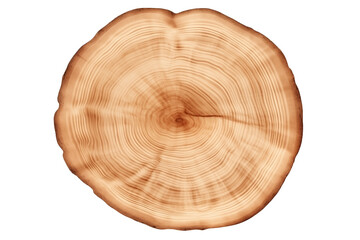 Top view of a Circular Tree trunk PNG Wood rings isolated on Transparent and white background - Forest Wildlife Erosion Ecosystem Protection
