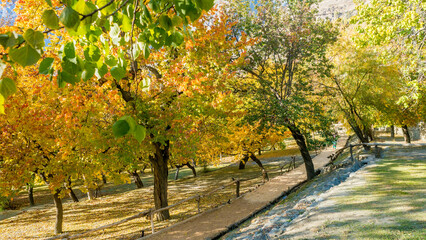 Autumn leaves change color in a village in northern Pakistan.