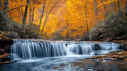A beautiful waterfall with a forest in the background. The water is clear and the leaves are orange