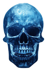 PNG Skull blue anthropology radiography.