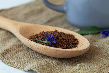 close-up of Ground chicory root on a wooden spoon with blue chicory flowers with sackcloth on white table.