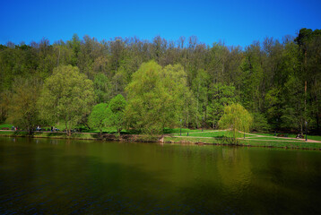 Fototapeta na wymiar Summer city river park landscape background