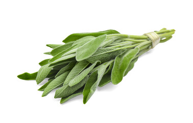 Bunch of fresh sage isolated on white