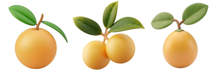 PNG longan 3d icons and objects collection, in cartoon style minimal on transparent, white background, isolate